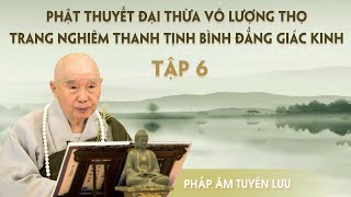 Vô Lượng Thọ Kinh tập 629 năm 1994  Pháp Sư Tịnh Không [upl. by Garap]