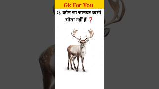 Gk Question Answer  Gk Question  Most Important Gk Question  gk shorts shortsfeed [upl. by Accebber210]