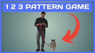 How to Teach your Dog the 1 2 3 Pattern Game [upl. by Assirrec949]