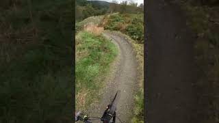 Smells Like Tweed Spirit Glentress MTB Trail Part 3 [upl. by Meggs832]