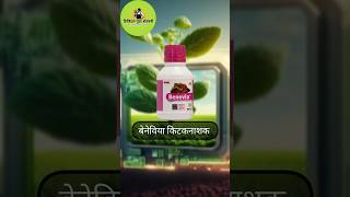 Benevia insecticide Dupont  Benevia insecticide uses shorts ytshorts farming [upl. by Nosniv254]