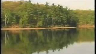 Henry D Thoreau  Walden Pond [upl. by Ennylyak557]