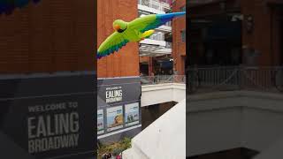 Ealing Broadway shopping centre London United Kingdom [upl. by Soni]