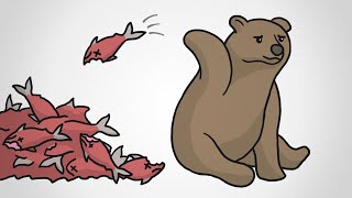 Why These Bears “Waste” Food [upl. by Hakon]