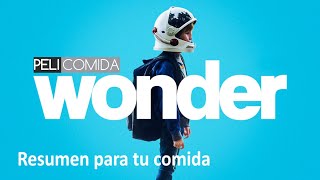 Extraordinario Wonder  Resumen [upl. by Yroj]