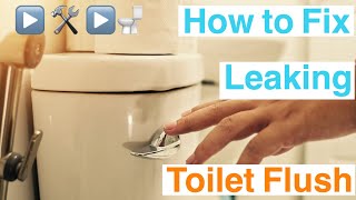 How to fix leaking toilet Flush  Fix leaking flush tank for free [upl. by Adiaros]