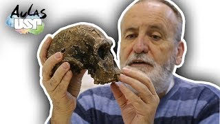 A Saga da Humanidade  Aula 8 Homo erectus [upl. by Suiravaj]