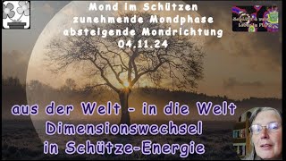 SchützeEnergie  Dimensionswechsel ganz privat  aus der einen Welt in die andere und zurück [upl. by Eelrac]