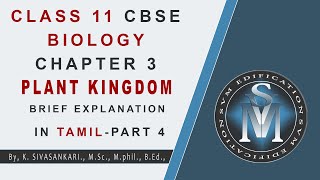 CLASS 11 CBSE BIOLOGY CHAPTER 3 PLANT KINGDOM PART 4  EXPLANATION IN TAMIL [upl. by Imarej]