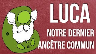 LUCA Notre Dernier Ancêtre Commun  Anecdoxos 09 [upl. by Nayra329]