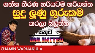 ගන්න තීරණ හරියටම හරියන සුදුළුුණු ගුරුකම  Dr Chamin Warnakula  NETH FM UNLIMITED SATHUTA [upl. by Ken]