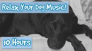 Classical Music for Dogs Soft Music Combined with Nature Sound Effects Including Rain to Relax Dogs [upl. by Evie196]