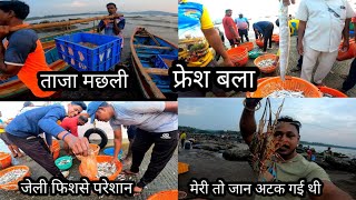 जीवना बंदर मछली बाजार श्रीवर्धन रायगड कोंकण  Jivana Bandar fish market shrivardhan [upl. by Anthe]