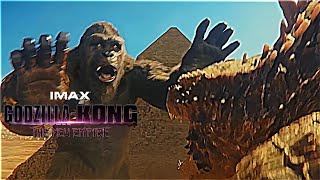 Godzilla amp Kong Fighting Scene in Egypt  Godzilla X Kong The New Empire [upl. by Liban]