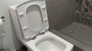 How to release 3 different types of toilet seats [upl. by Anrev126]