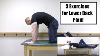 McGill Big 3  Lower Back Pain Exercises [upl. by Acey164]