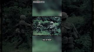 101st Airborne in Vietnam 1967  Pt 8 [upl. by Rosse]