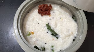 My Lunch Box Curd Rice [upl. by Britte]