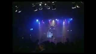 Małpi Hymn historia Piotra Marka i Zespołu Düpą \ Koncert zespołu Püdelsi 1995 [upl. by Cinamod]