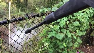 How to clear vines from chain link fence [upl. by Marya]