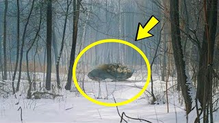 Scientist Installs Hidden Cameras In Chernobyls Dead Zone  Drops Everything When He Sees Footage [upl. by Siwel]