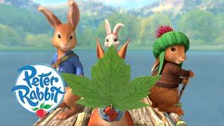 Peter Rabbit 2018  Rabbit Attack Two Scene [upl. by Burley351]