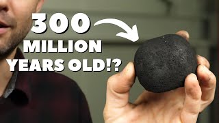 Why almost all coal was made at the same time [upl. by Sammons586]