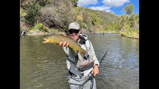 Famous Provo River Bounce nymph rigging instruction [upl. by Aihsiyt]