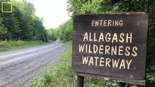 Kayaking The Allagash River  Camping in New England WOW [upl. by Gagnon153]