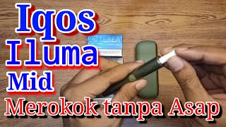 Review Terea Apricity dengan IQOS Iluma Mid [upl. by Naihr]