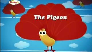 BabyTV The Pigeon english [upl. by Pat80]