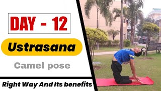 How to perform Ustrasana yoga camel pose [upl. by Amberly]