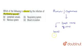 Which of the following is affected by the infection of Wuchereria bancrofti [upl. by Lacsap]