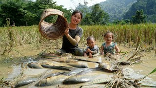 Harvest giant fish with your children to sell at the market  buy clothes to keep your children warm [upl. by Stasny555]