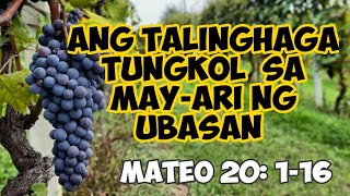 TALINGHAGA TUNGKOL SA MAYARI NG UBASAN  PARABULA KANLURANG ASYA [upl. by Eijneb]