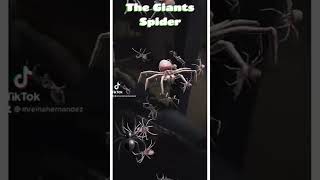 The giant enemy spider￼ [upl. by Edieh519]