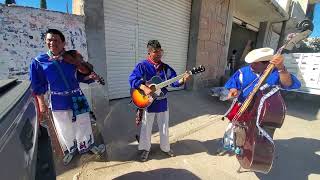 MÚSICA de violines EN HUEJUQUILLA el alto jalisco [upl. by Beverly]