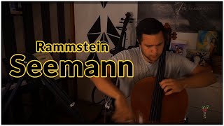 Rammstein  Seemann Cello Instrumental Cover [upl. by Enrika568]