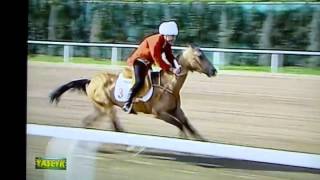 Symbolic race to support Akhal Teke Horse breeding and equine sports in Turkmenistan [upl. by Samtsirhc]