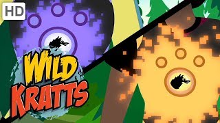 Wild Kratts 💥 Activate All Season 5 Creature Powers  Kids Videos [upl. by Laubin496]