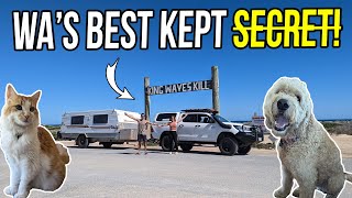 Is this Central WAs BEST offgrid petfriendly beach destination Quobba camping with dog amp cat [upl. by Trust806]