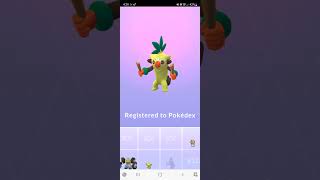 Grookey Gang 💚💚 grookeygang grookey evolve pokemon pokemongo fyp viralvideo shorts foryou [upl. by Sigrid]