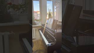 Не пойму к чему это piano pianist music pianomusic рекомендации фортепиано музыка пианист [upl. by Yenwat]