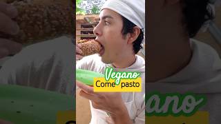 Comida vegana ¿pasto 🤣🌱 [upl. by Inglebert]