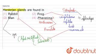 Harderian glands are found in [upl. by Grider]