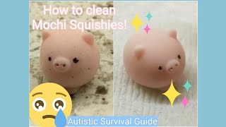 How to Clean Mochi Squishy Toys  Autistic Survival Guide [upl. by Camile]