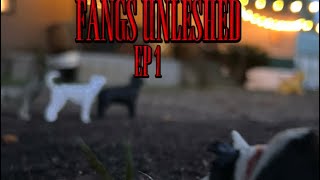 FANGS UNLEASHED episode1 season1”Before” [upl. by Kassaraba327]