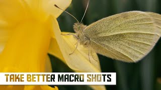 How to take better Macro Photos on the Galaxy S23 Ultra [upl. by Moretta]