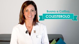 Colesterolo Buono e Cattivo Colesterolo Hdl e Colesterolo Ldl [upl. by Nawud]