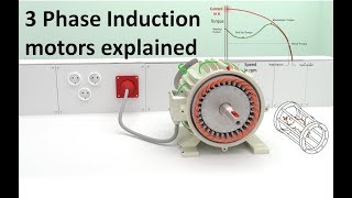 How does a 3 Phase Induction Motor work  Technical animation [upl. by Katheryn]